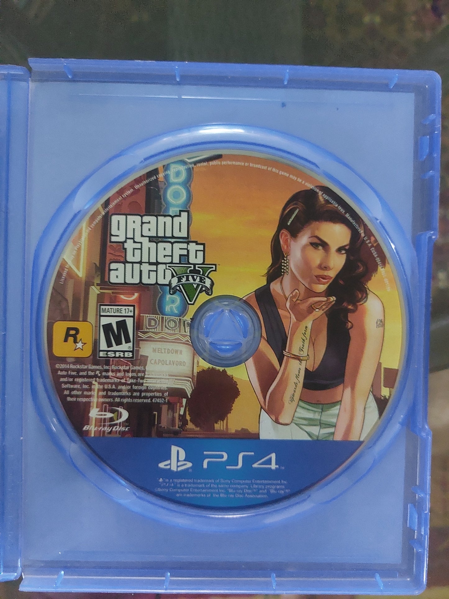 Grand Theft Auto 5 (GTA V)