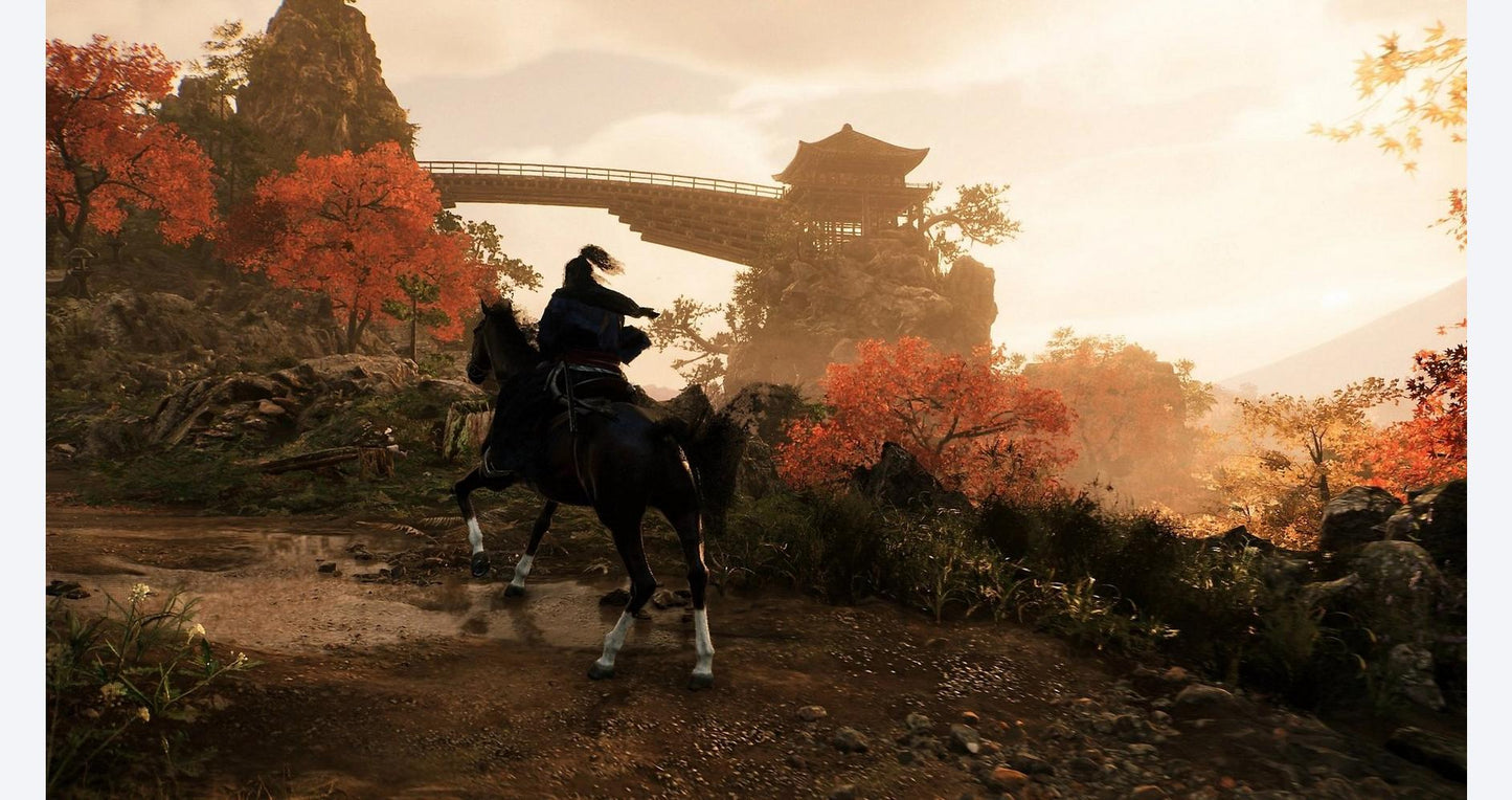 Rise of the Ronin