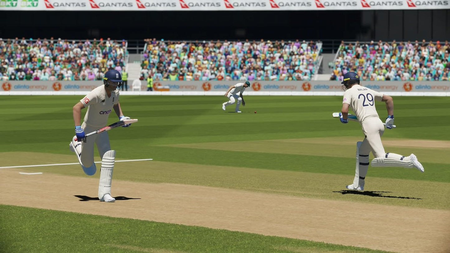 Cricket 22