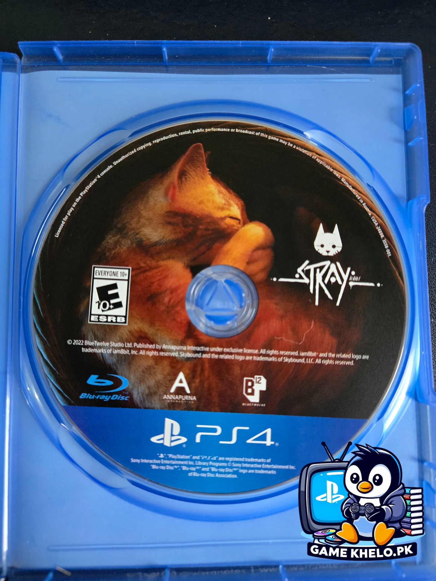 Stray for PlayStation 4