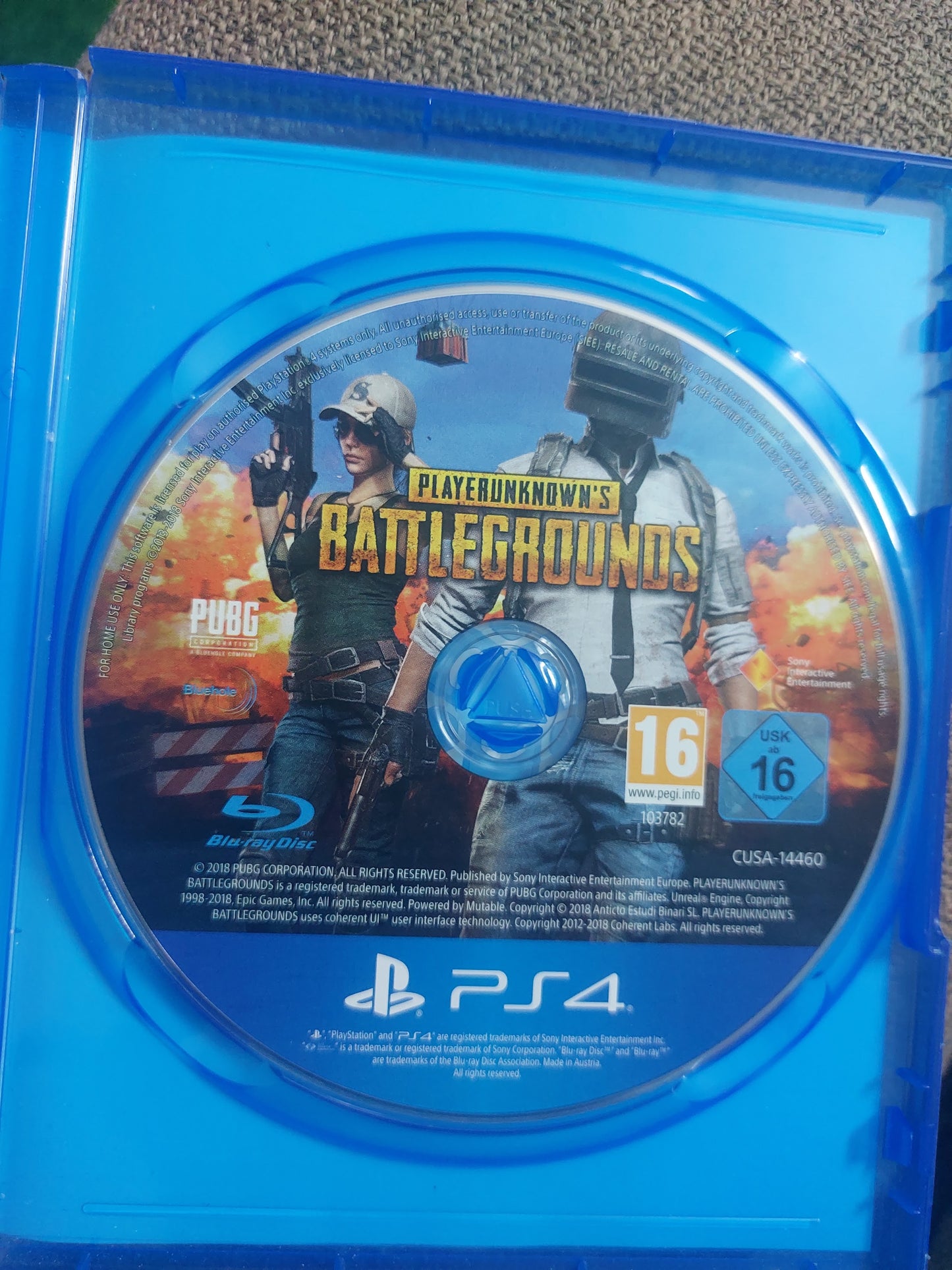PLAYERUNKNOWN'S BATTLEGROUNDS (PUBG)