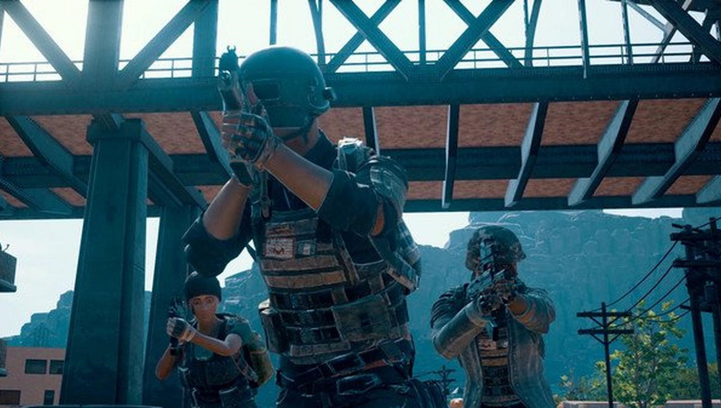 PLAYERUNKNOWN'S BATTLEGROUNDS (PUBG)
