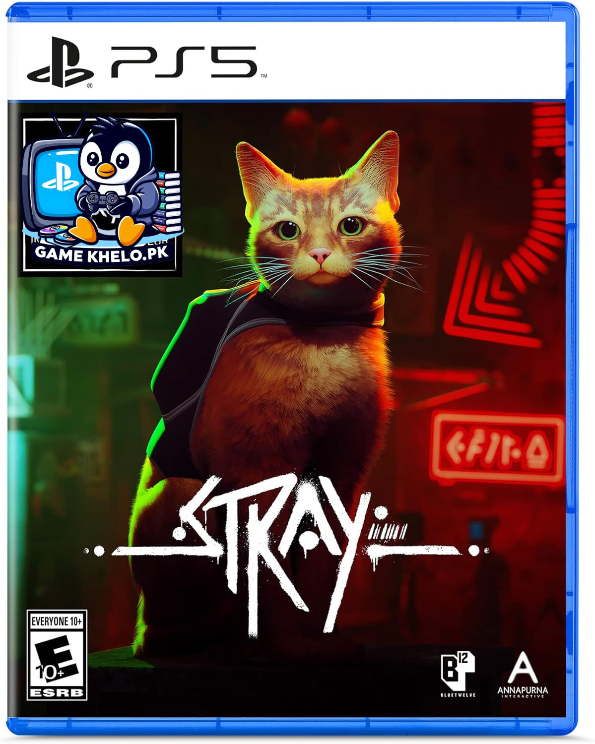 Used Stray PS5 game disc and case - third-person cat adventure game for PlayStation 5 from GameKhelo Pakistan with 3-day warranty

