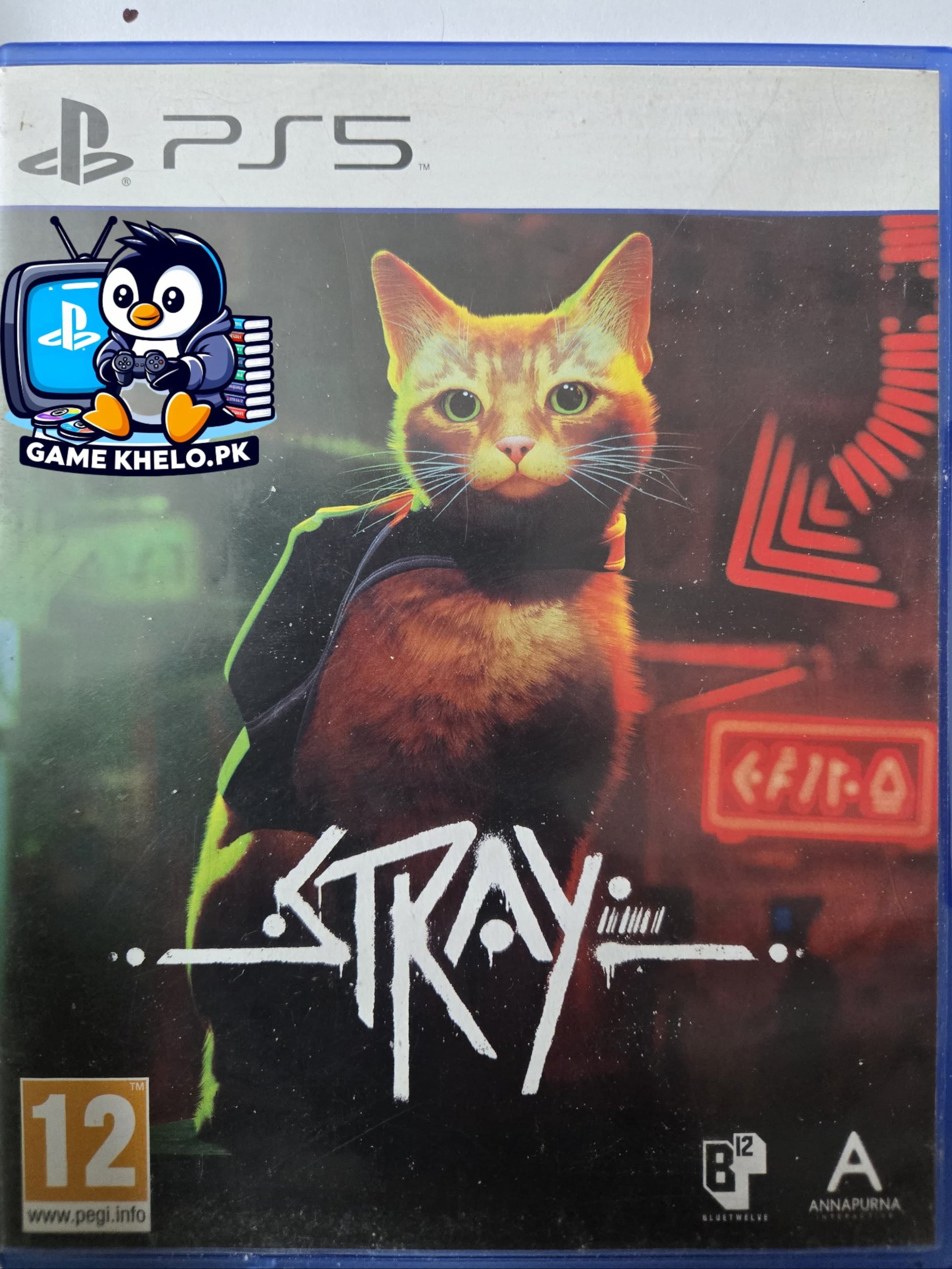 Used Stray PS5 game disc and case - third-person cat adventure game for PlayStation 5 from GameKhelo Pakistan with 3-day warranty

